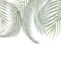 Palm leaves 2 Panoramic wallpaper