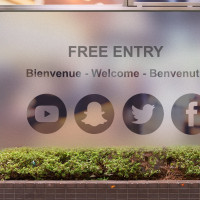 Custom Privacy Window Film