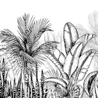 Jungle Black and White 4 Panoramic Wallpaper