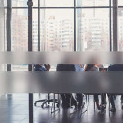 Privacy Window Strips