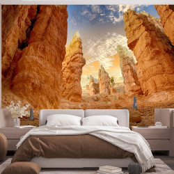 Desert Roche Panoramic wallpaper