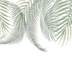 Palm leaves 2 Panoramic wallpaper