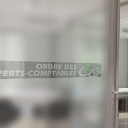 Chartered Accountant 2 Privacy Window film