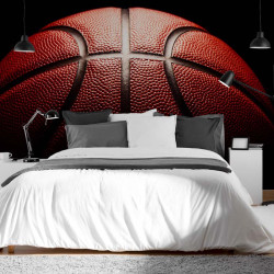 Basket Ball Panoramic Wallpaper