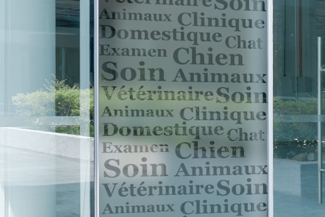 Veterinarian Store Privacy Window film