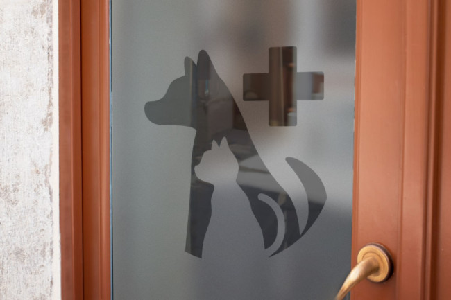 Veterinary clinic 2 Logo Privacy Window film